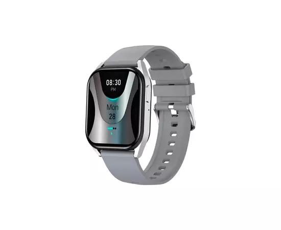 Смарт-годинник Canyon Chatter SW-58 BT-CALL Silver Grey (CNS-SW58SS)