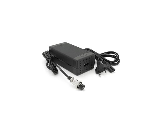 Сетевое зарядное устройство для АКБ Voltronic LiFePO4 12V 4S 10A (YT-SJT-1468-GX12)