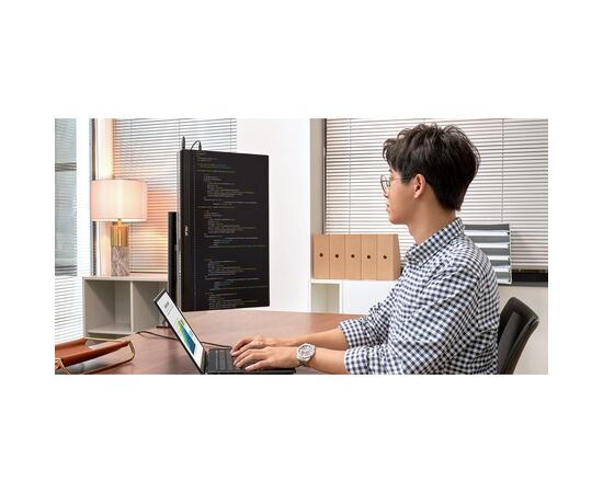 Монитор ASUS ZenScreen MB249C, изображение 4 Монитор ASUS ZenScreen MB249C, изображение 4