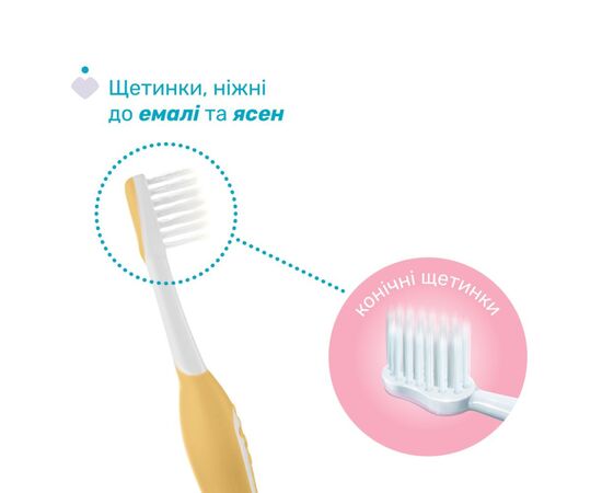 Детская зубная щетка Chicco 6-36 мес., 2 шт. сиренево-желтая (8058664174706) (12082.00), изображение 2 Детская зубная щетка Chicco 6-36 мес., 2 шт. сиренево-желтая (8058664174706) (12082.00), изображение 2