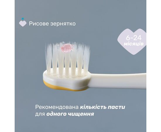 Детская зубная щетка Chicco 6-36 мес., 2 шт. сиренево-желтая (8058664174706) (12082.00), изображение 5 Детская зубная щетка Chicco 6-36 мес., 2 шт. сиренево-желтая (8058664174706) (12082.00), изображение 5