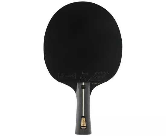 Ракетка для настільного тенісу Stiga Pro Carbon Plus 5 Star FL (1215-2820-01) (931105), зображення 2 Ракетка для настільного тенісу Stiga Pro Carbon Plus 5 Star FL (1215-2820-01) (931105), зображення 2