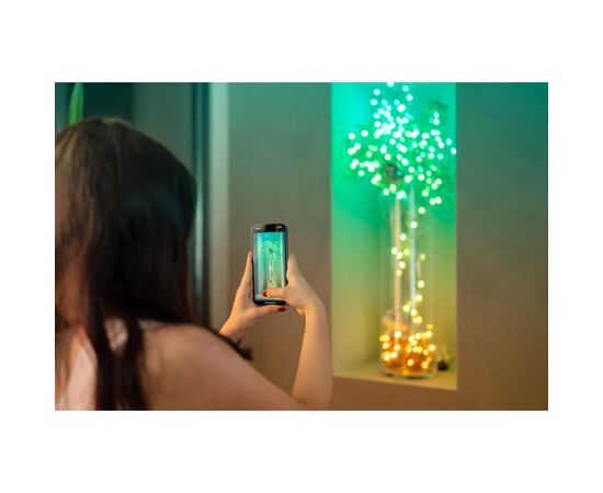 Гирлянда Twinkly mart LED, Strings USB 100 Pearl-shaped RGB LEDs, Green Wire, USB-C 6м (TWKP100RGB-G), изображение 4 Гирлянда Twinkly mart LED, Strings USB 100 Pearl-shaped RGB LEDs, Green Wire, USB-C 6м (TWKP100RGB-G), изображение 4
