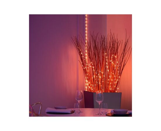 Гирлянда Twinkly Smart LED, Dots 400 RGB LED Lights String Black Wire Plug IP44 20м (TWD400STP-BEU), изображение 4 Гирлянда Twinkly Smart LED, Dots 400 RGB LED Lights String Black Wire Plug IP44 20м (TWD400STP-BEU), изображение 4