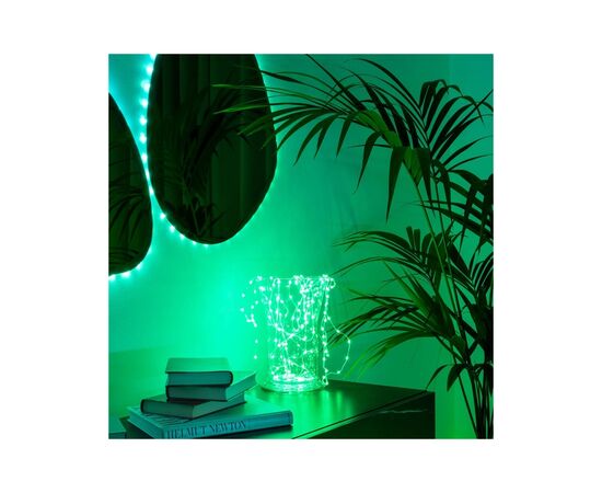 Гирлянда Twinkly Smart LED, Dots 400 RGB LED Lights String Black Wire Plug IP44 20м (TWD400STP-BEU), изображение 5 Гирлянда Twinkly Smart LED, Dots 400 RGB LED Lights String Black Wire Plug IP44 20м (TWD400STP-BEU), изображение 5