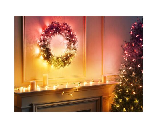 Гирлянда Twinkly Smart LED Strings USB 200 Candle-shaped RGB LEDs, Clear Wire, USB-C 12м (TWKC200RGB-T), изображение 10 Гирлянда Twinkly Smart LED Strings USB 200 Candle-shaped RGB LEDs, Clear Wire, USB-C 12м (TWKC200RGB-T), изображение 10