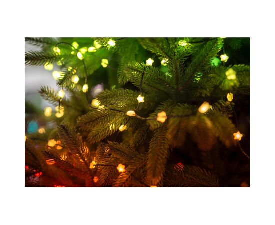 Гирлянда Twinkly Smart LED Strings USB 200 Star-shaped RGB LEDs, Green Wire, USB-C 12м (TWKS200RGB-G), изображение 6 Гирлянда Twinkly Smart LED Strings USB 200 Star-shaped RGB LEDs, Green Wire, USB-C 12м (TWKS200RGB-G), изображение 6