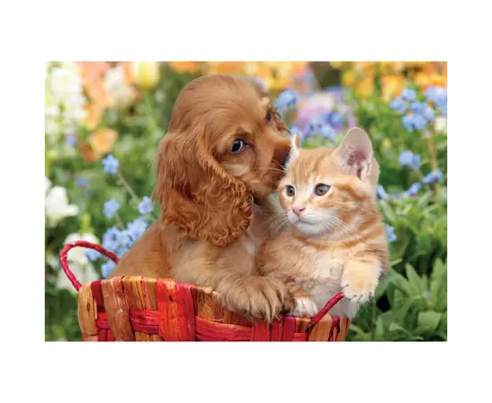 Пазл Clementoni Noli Cute Friends серія MAXI, 104 елементи (25763), зображення 2 Пазл Clementoni Noli Cute Friends серія MAXI, 104 елементи (25763), зображення 2