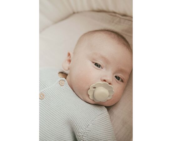 Пустышка Suavinex Wonder физиологическая, 0-6 мес. светло-бежевая (308370), изображение 5 Пустышка Suavinex Wonder физиологическая, 0-6 мес. светло-бежевая (308370), изображение 5