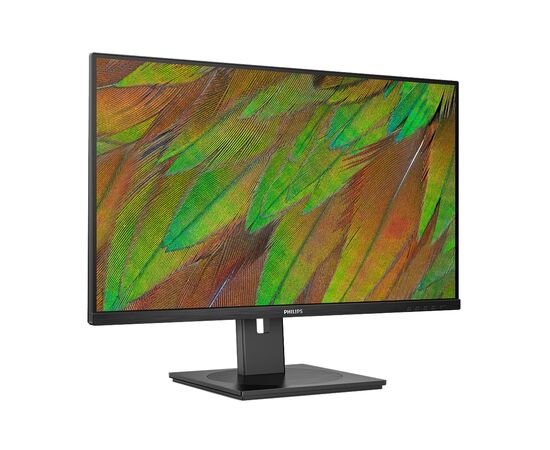 Монитор Philips 32B1N3800/00, изображение 2 Монитор Philips 32B1N3800/00, изображение 2