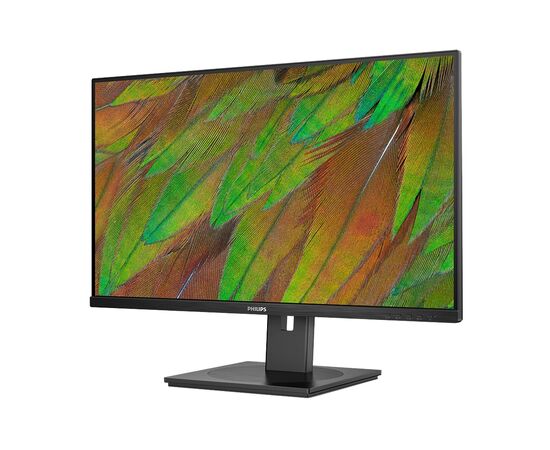 Монитор Philips 32B1N3800/00, изображение 4 Монитор Philips 32B1N3800/00, изображение 4