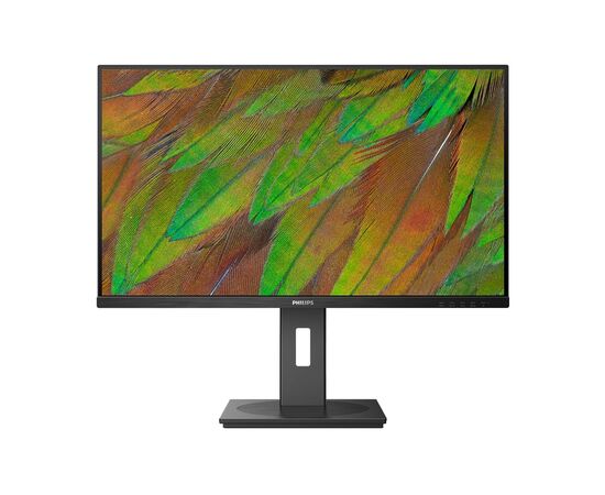 Монитор Philips 32B1N3800/00