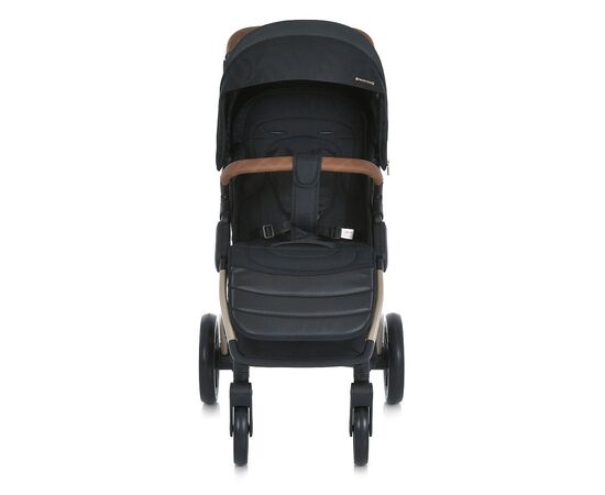 Коляска El Camino Dynamic PRO ME 1053G-2 (special black) (1053G-2 special black), изображение 2 Коляска El Camino Dynamic PRO ME 1053G-2 (special black) (1053G-2 special black), изображение 2