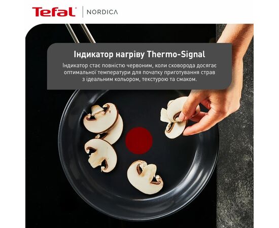 Сковорода Tefal Nordica, 20см, нержавіюча сталь (H8710255), изображение 6 Сковорода Tefal Nordica, 20см, нержавіюча сталь (H8710255), изображение 6