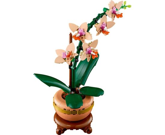 Конструктор LEGO Botanicals Міні орхідея (10343), зображення 3 Конструктор LEGO Botanicals Міні орхідея (10343), зображення 3