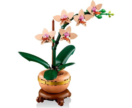 Конструктор LEGO Botanicals Міні орхідея (10343), зображення 5 Конструктор LEGO Botanicals Міні орхідея (10343), зображення 5