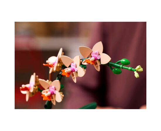Конструктор LEGO Botanicals Міні орхідея (10343), зображення 9 Конструктор LEGO Botanicals Міні орхідея (10343), зображення 9