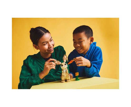 Конструктор LEGO reator Волшебный крольчонок (31162), изображение 9 Конструктор LEGO reator Волшебный крольчонок (31162), изображение 9