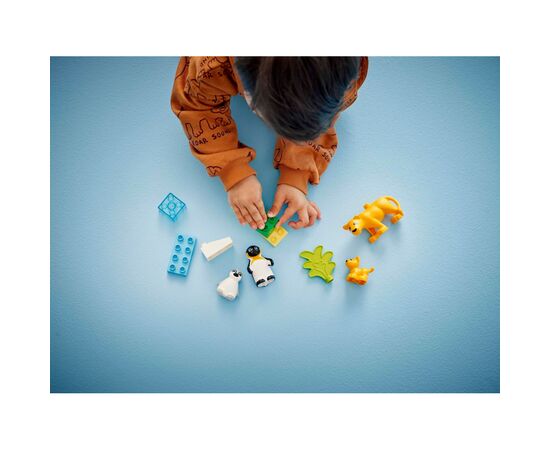 Конструктор LEGO DUPLO Town Семейства диких животных: Пингвины и Львы (10442), изображение 8 Конструктор LEGO DUPLO Town Семейства диких животных: Пингвины и Львы (10442), изображение 8