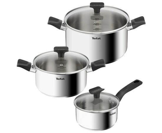 Набор посуды Tefal Delicious, 6предметів, нержавіюча сталь, бакеліт, скло (B925S655)