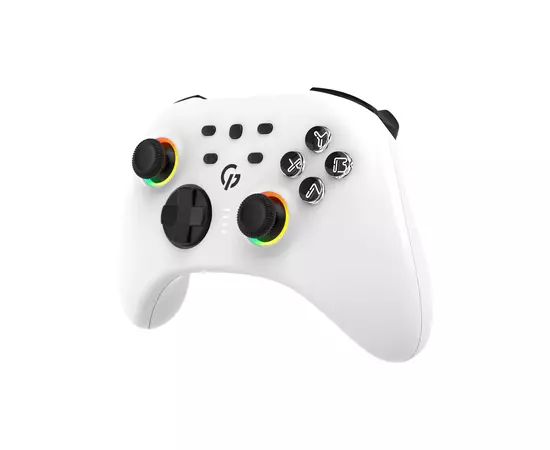 Геймпад GamePro GPX13W 2.4G/BT 5.1/USB/PC/iOS/Android RGB White (GPX13W), зображення 2 Геймпад GamePro GPX13W 2.4G/BT 5.1/USB/PC/iOS/Android RGB White (GPX13W), зображення 2