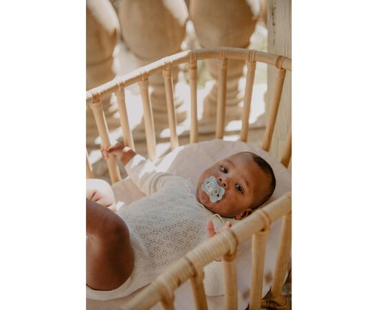 Пустышка Suavinex Wonderland в форме бабочки, 0-6 мес. голубая с рисунком (308776), изображение 4 Пустышка Suavinex Wonderland в форме бабочки, 0-6 мес. голубая с рисунком (308776), изображение 4