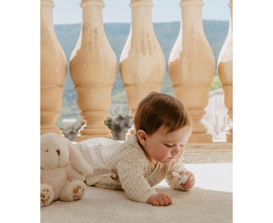 Пустушка Suavinex Wonderland у формі метелика, 6-18 міс. світло-зелена з малюнком (308783), зображення 4