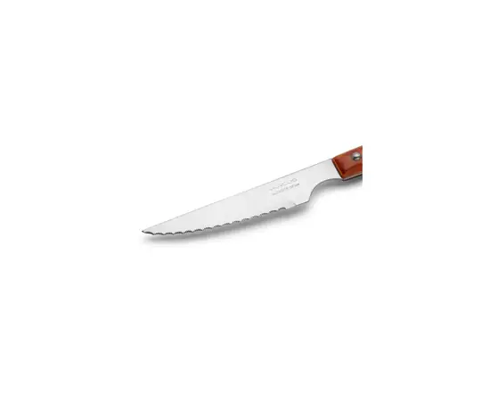 Столовый нож Arcos стейковий 22 см (371500), изображение 2 Столовый нож Arcos стейковий 22 см (371500), изображение 2