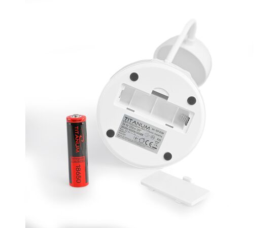 Настольная лампа TITANUM TLTF-012W, изображение 5