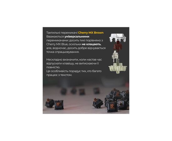 Клавиатура Ducky One 3 Mini Cherry MX Brown RGB UA USB White (DKON2161ST-BUAPXPWWWSC1), изображение 6 Клавиатура Ducky One 3 Mini Cherry MX Brown RGB UA USB White (DKON2161ST-BUAPXPWWWSC1), изображение 6