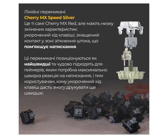 Клавіатура Ducky One 3 Mini Cherry MX Speed Silver RGB UA USB Black (DKON2161ST-PUAPXCLAWSC1), зображення 5 Клавіатура Ducky One 3 Mini Cherry MX Speed Silver RGB UA USB Black (DKON2161ST-PUAPXCLAWSC1), зображення 5