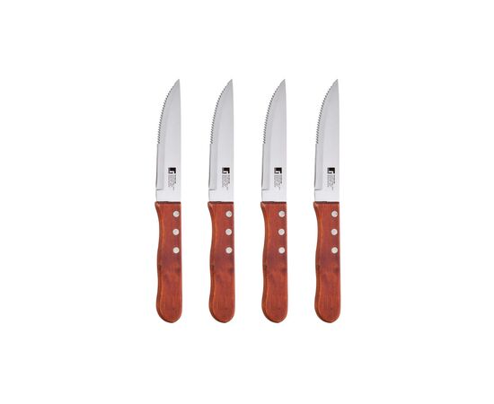 Набор ножей Bergner Bbq lovers для стейків, 4 предмети (BG-40201-MM)