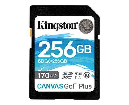 Карта памяти Kingston 256GB SDXC class 10 UHS-I U3 Canvas Go Plus (SDG3/256GB)