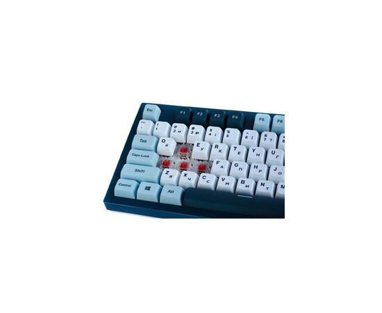 Клавиатура MONTECH Freedom MK87FR TKL FR USB UA Black (MK87FR), изображение 9 Клавиатура MONTECH Freedom MK87FR TKL FR USB UA Black (MK87FR), изображение 9