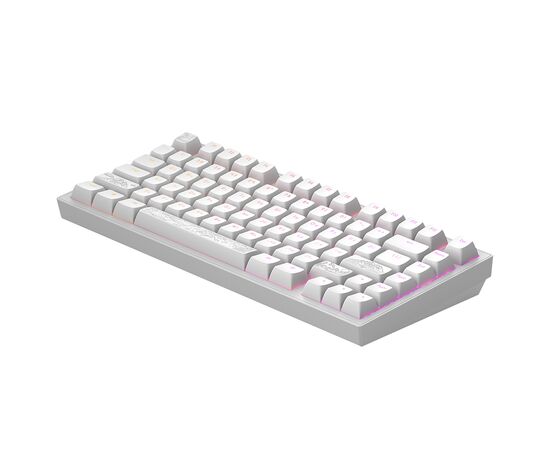 Клавиатура Dark Project ALU81 Terra Nostra PBT RGB Mech G3MS Moonstone White (DPKB_NOSTRA_81_ANSI_WHITE_UA), изображение 5 Клавиатура Dark Project ALU81 Terra Nostra PBT RGB Mech G3MS Moonstone White (DPKB_NOSTRA_81_ANSI_WHITE_UA), изображение 5