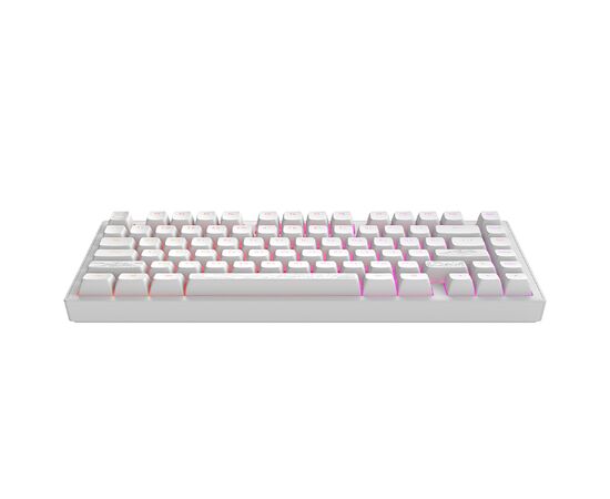 Клавиатура Dark Project ALU81 Terra Nostra PBT RGB Mech G3MS Moonstone White (DPKB_NOSTRA_81_ANSI_WHITE_UA), изображение 6 Клавиатура Dark Project ALU81 Terra Nostra PBT RGB Mech G3MS Moonstone White (DPKB_NOSTRA_81_ANSI_WHITE_UA), изображение 6