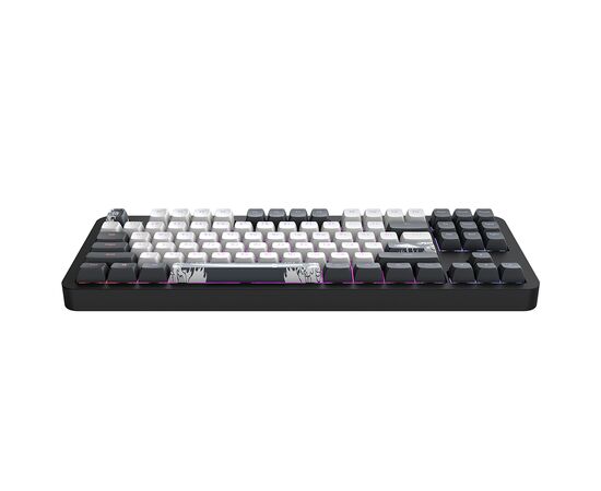 Клавиатура Dark Project ALU87 Bushido ABS RGB Mech G3MS Moonstone Black/White (DPKB_BUSHIDO_87_ANSI_UA), изображение 6 Клавиатура Dark Project ALU87 Bushido ABS RGB Mech G3MS Moonstone Black/White (DPKB_BUSHIDO_87_ANSI_UA), изображение 6