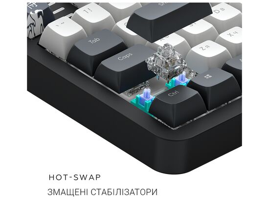 Клавиатура Dark Project ALU87 Bushido ABS RGB Mech G3MS Moonstone Black/White (DPKB_BUSHIDO_87_ANSI_UA), изображение 8 Клавиатура Dark Project ALU87 Bushido ABS RGB Mech G3MS Moonstone Black/White (DPKB_BUSHIDO_87_ANSI_UA), изображение 8
