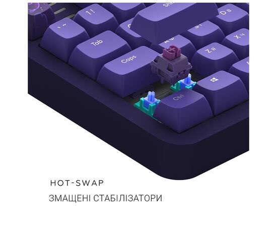 Клавиатура Dark Project ALU87 Celestial ABS RGB Mech G3MS Voidstone Violet (DPKB_CELESTIAL_87_ANSI_UA), изображение 8 Клавиатура Dark Project ALU87 Celestial ABS RGB Mech G3MS Voidstone Violet (DPKB_CELESTIAL_87_ANSI_UA), изображение 8