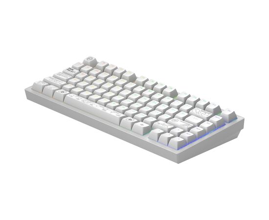 Клавиатура Dark Project ALU81 Terra Nova PBT RGB Mech G3MS Moonstone White (DPKB_NOVA_81_ANSI_WHITE_UA), изображение 5 Клавиатура Dark Project ALU81 Terra Nova PBT RGB Mech G3MS Moonstone White (DPKB_NOVA_81_ANSI_WHITE_UA), изображение 5