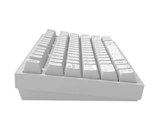 Клавиатура Dark Project ALU81 Terra Nova PBT RGB Mech G3MS Moonstone White (DPKB_NOVA_81_ANSI_WHITE_UA), изображение 8 Клавиатура Dark Project ALU81 Terra Nova PBT RGB Mech G3MS Moonstone White (DPKB_NOVA_81_ANSI_WHITE_UA), изображение 8