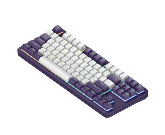 Клавиатура Dark Project ALU87 Celestial ABS RGB Mech G3MS Voidstone USB Violet (DPKB_VIOLET_87_ANSI_UA), изображение 3 Клавиатура Dark Project ALU87 Celestial ABS RGB Mech G3MS Voidstone USB Violet (DPKB_VIOLET_87_ANSI_UA), изображение 3