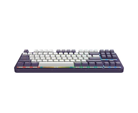 Клавиатура Dark Project ALU87 Celestial ABS RGB Mech G3MS Voidstone USB Violet (DPKB_VIOLET_87_ANSI_UA), изображение 6 Клавиатура Dark Project ALU87 Celestial ABS RGB Mech G3MS Voidstone USB Violet (DPKB_VIOLET_87_ANSI_UA), изображение 6