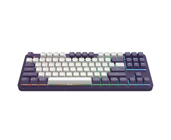 Клавиатура Dark Project ALU87 Celestial ABS RGB Mech G3MS Voidstone USB Violet (DPKB_VIOLET_87_ANSI_UA)