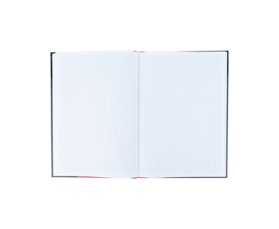 Канцелярская книга Axent Colors А4, 80 листов, ячейка, красная (8421-08-A), изображение 4 Канцелярская книга Axent Colors А4, 80 листов, ячейка, красная (8421-08-A), изображение 4