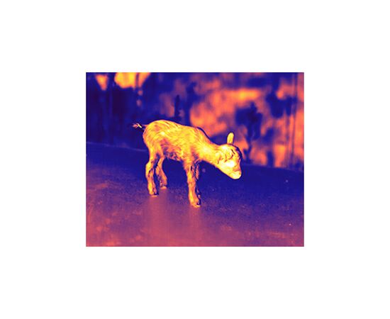 Тепловизионный прицел Guide TR 420 QD Long mount 2,3-9,2x25 384x288@12μm VOx 1300 м (TR420LongQD), изображение 10 Тепловизионный прицел Guide TR 420 QD Long mount 2,3-9,2x25 384x288@12μm VOx 1300 м (TR420LongQD), изображение 10