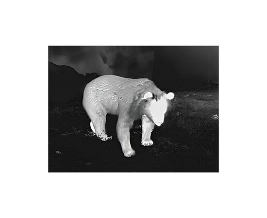 Тепловизионный прицел Guide TR 420 QD Long mount 2,3-9,2x25 384x288@12μm VOx 1300 м (TR420LongQD), изображение 12 Тепловизионный прицел Guide TR 420 QD Long mount 2,3-9,2x25 384x288@12μm VOx 1300 м (TR420LongQD), изображение 12