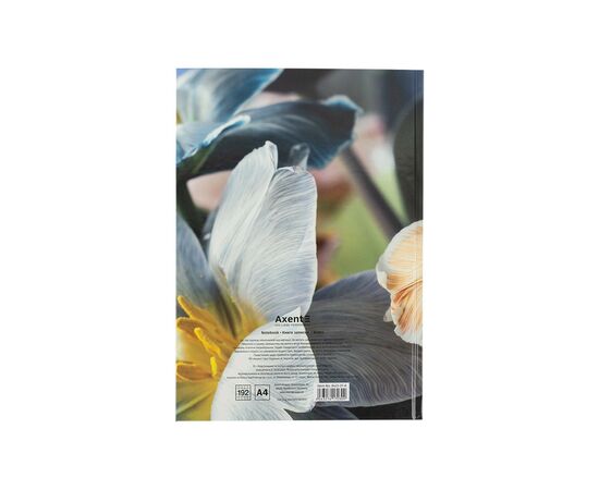 Канцелярская книга Axent Flora А4 в твердом переплете 192 листа клетка, желтая (8423-27-A), изображение 4