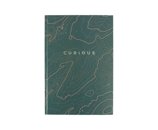 Канцелярська книга Axent Earth colors Curious А4 96 аркушів клітинка (8422-577-A)