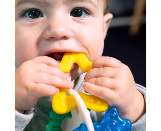 Прорезыватель Baby Einstein Sea of Sensory (13158), изображение 4 Прорезыватель Baby Einstein Sea of Sensory (13158), изображение 4